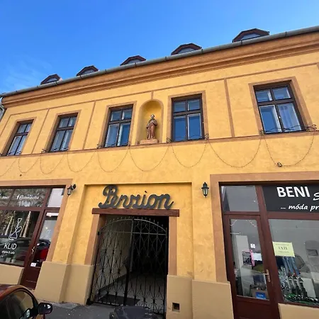 V Centru Guest house 3*
